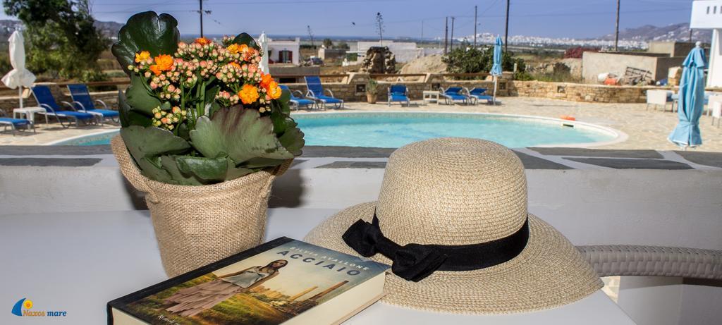 Apartahotel Naxos Mare 3*